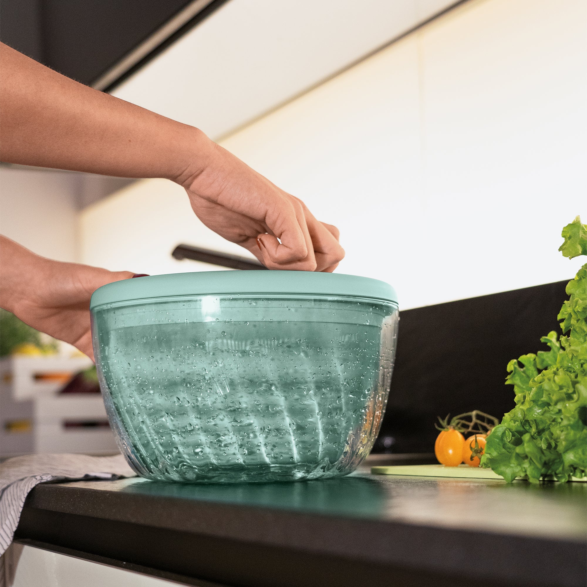 Centrifuga Per Insalata 24cm | Confronta prezzi Centrifuga Per Insalata 24cm | Confronta prezzi