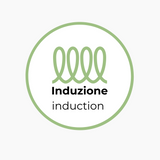 induction.png?height=160&v=1738665191